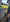 scrolling text